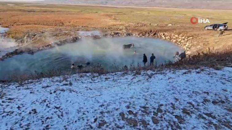 Burası Antartika değil Bitlis! Eksi 15 derecede atlarla kaplıca keyfi 8